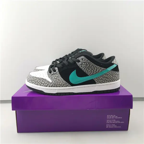NIKE SB DUNK LOW 