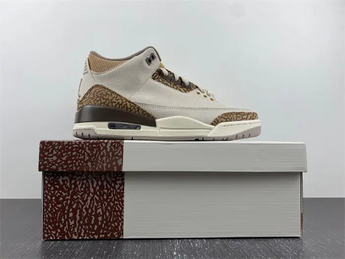 Air Jordan 3 