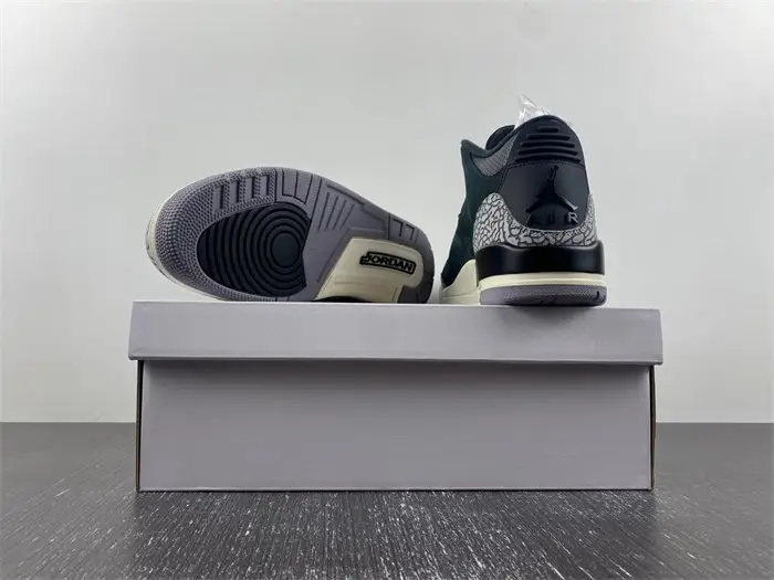 Air Jordan 3 WMNS 