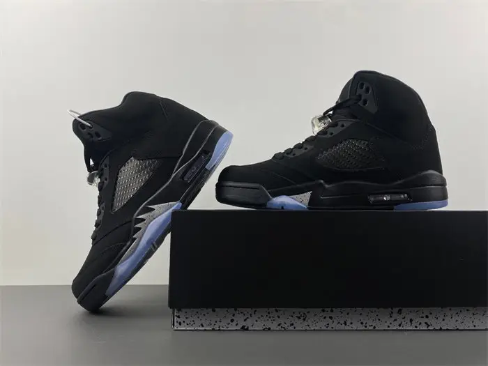 Air Jordan 5 