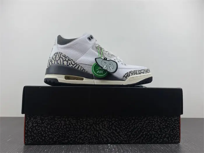 Air Jordan 3 GS 