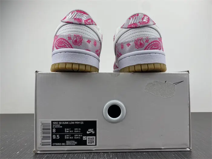 Nike SB Dunk Low Retro SP 