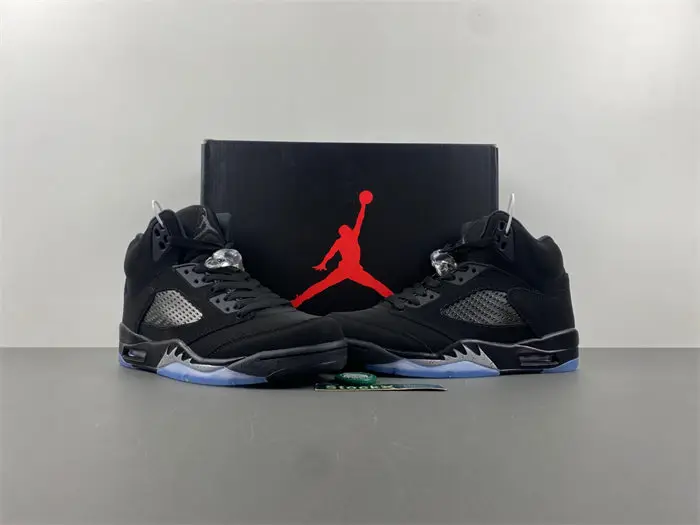 Air Jordan 5 