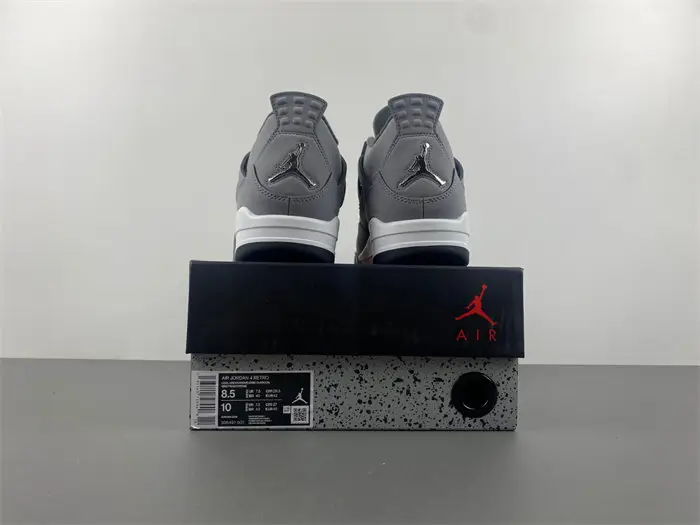 Air Jordan 4