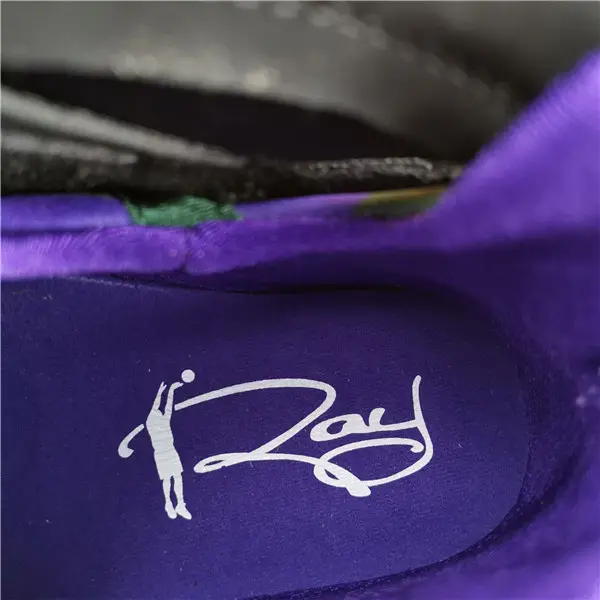 Air Jordan 7 Retro Ray Allen Bucks 