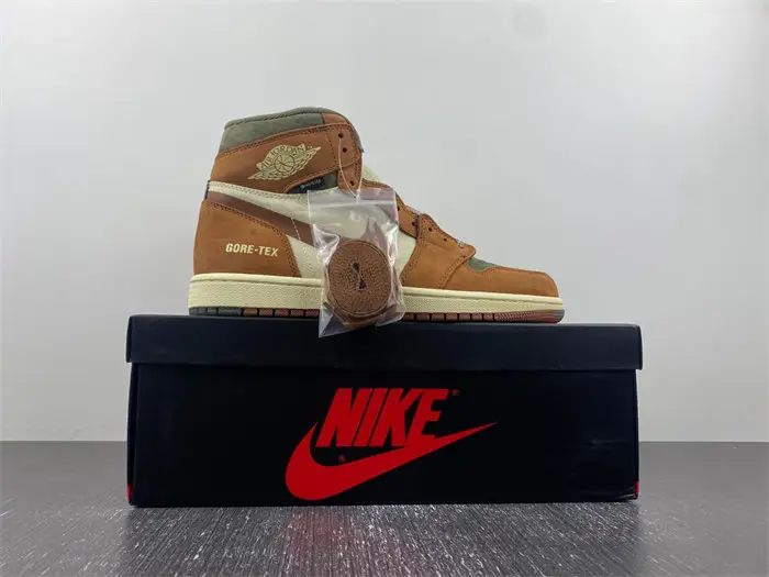 AJ1 Gore-Tex Jordan 1 High 