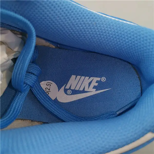 Nike Dunk Low UNC (2021) 