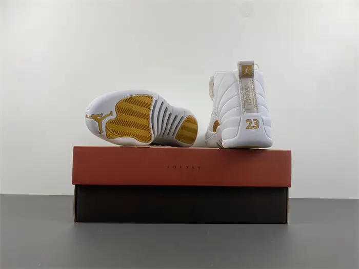 Air Jordan 12 