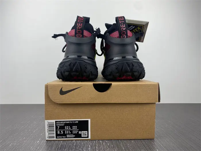 ACG Mountain Fly Low 