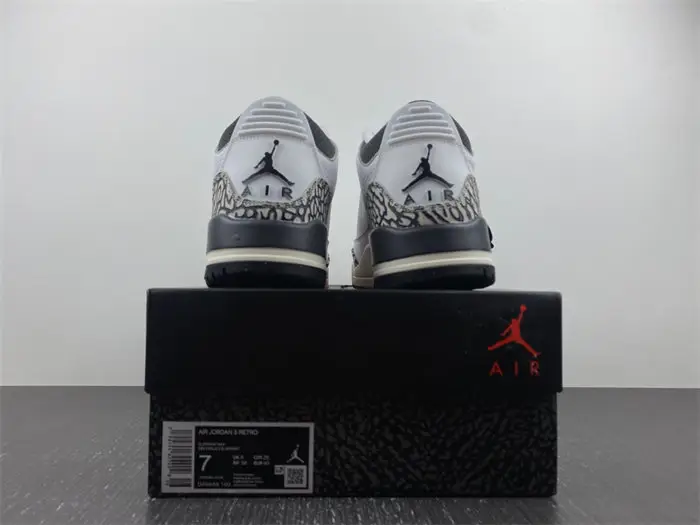 Air Jordan 3 GS 