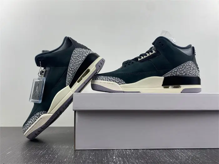 Air Jordan 3 WMNS 