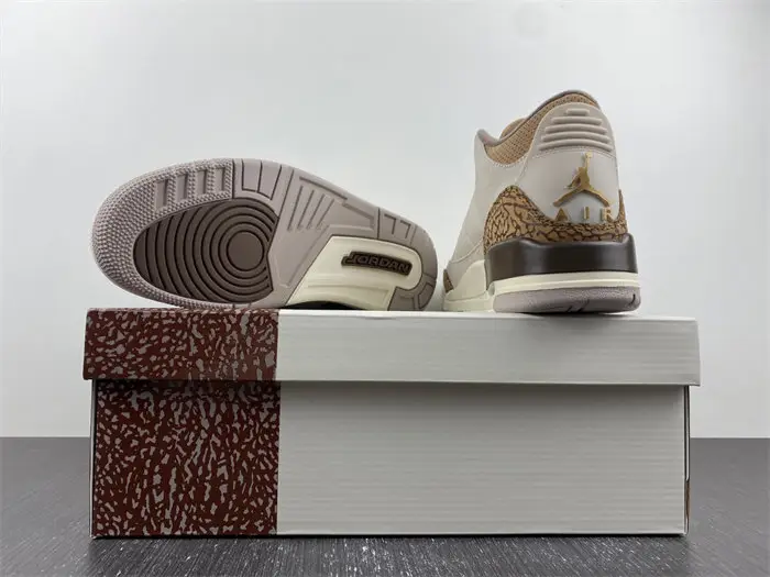 Air Jordan 3 