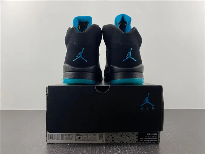 Air Jordan 5 