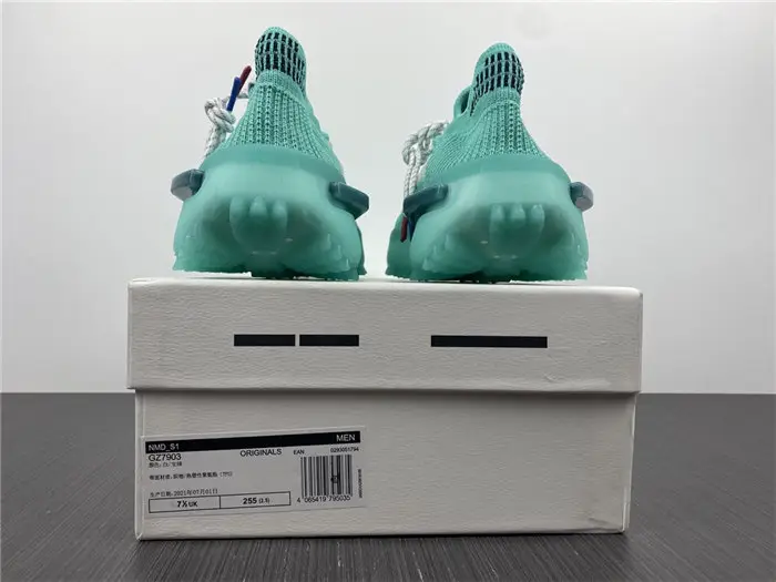 NMD S_1 