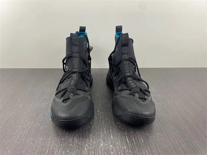 Nike ACG Air Terra Antarktik 