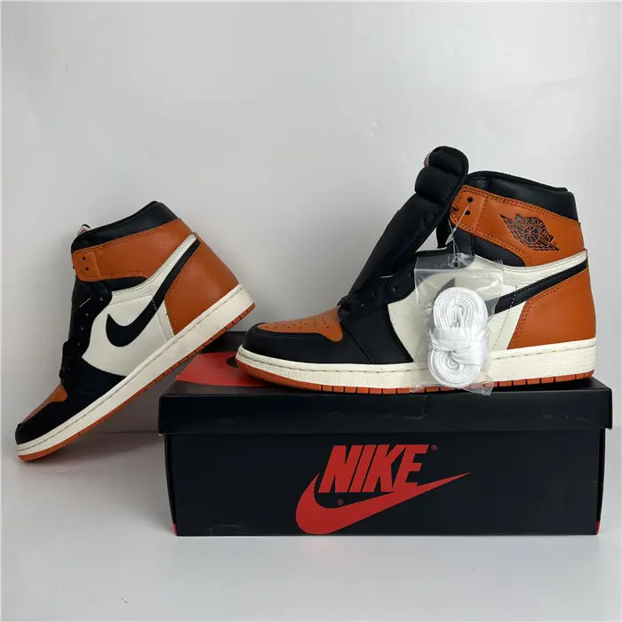 Jordan 1  Shattered Backboard 