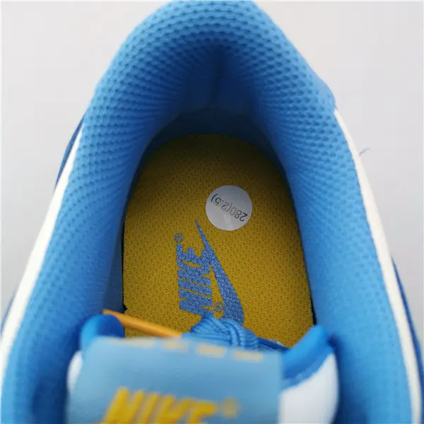 Nike Dunk Low Coast (W) 