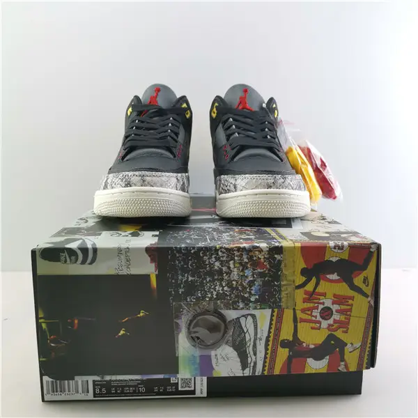 AIR JORDAN 3 RETRO SE ANIMAL INSTINCT 