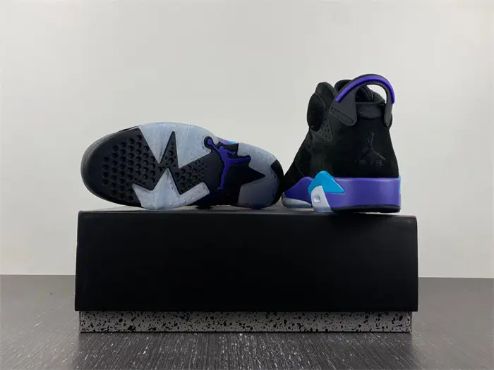 Air Jordan 6 
