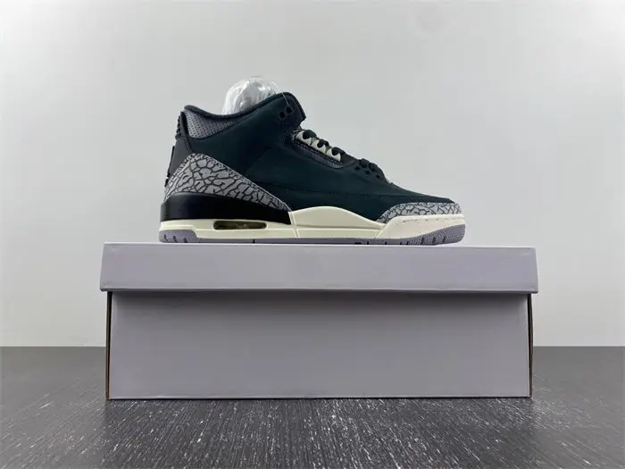 Air Jordan 3 WMNS 