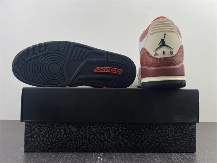 Jordan 3 Retro SE Dunk on Mars 