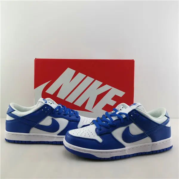 NIKE DUNK LOW RETRO 