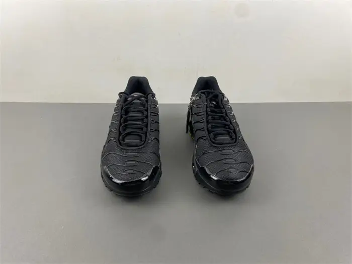 Nike Air Max Plu 