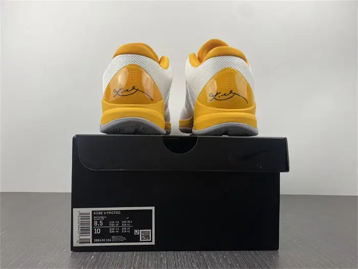 Nike Zoom Kobe V Ink 