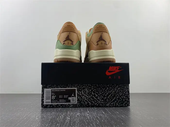 Air Jordan 3 