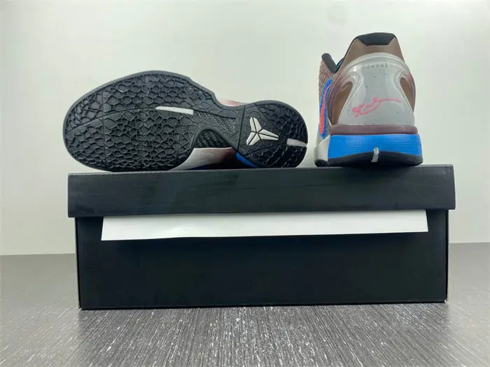 Kobe 6 Protro 