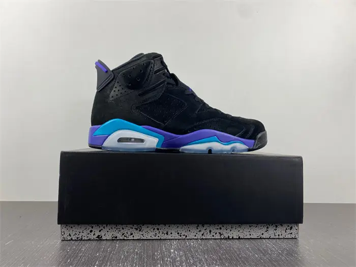 Air Jordan 6 