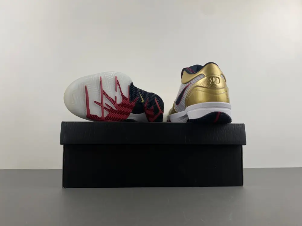 Nike Kobe 4 Protro 