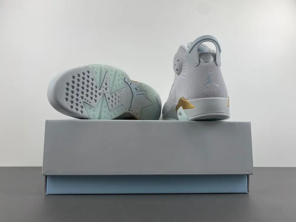 Air Jordan 6 Craft Paris 