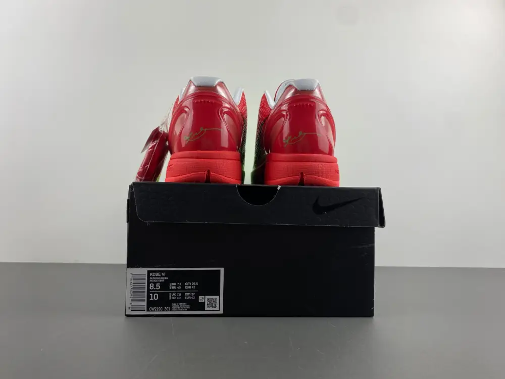 Nike Kobe 6 Protro 