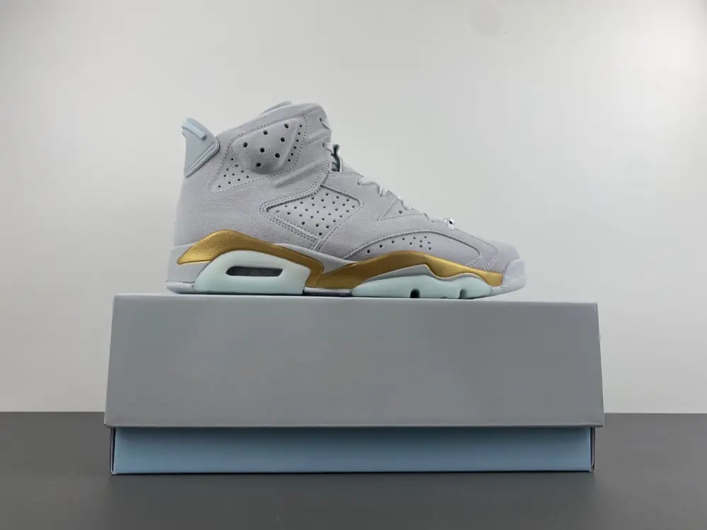 Air Jordan 6 Craft Paris 
