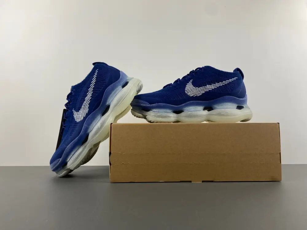 Air Max Scorpion FK 