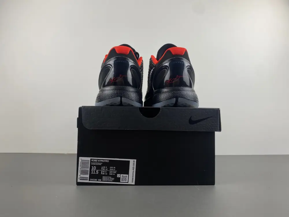 Nike Kobe 6 Protro 