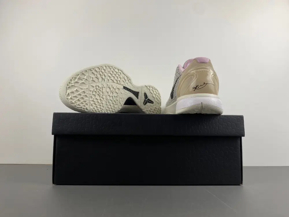 Nike Kobe 6 Protro 
