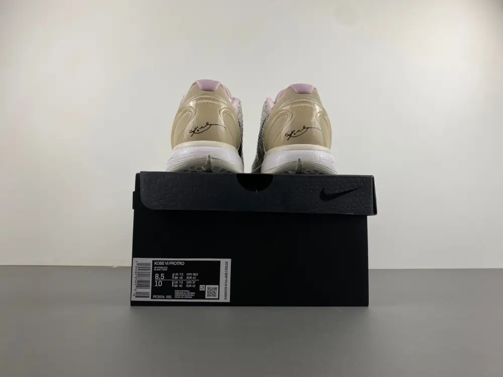 Nike Kobe 6 Protro 