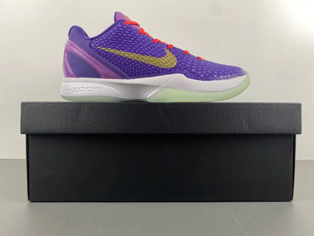 Nike Kobe 6 Protro 
