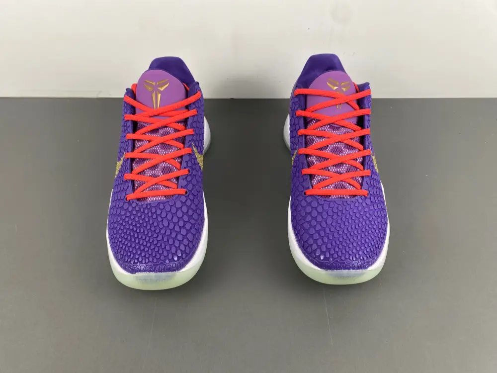 Nike Kobe 6 Protro 