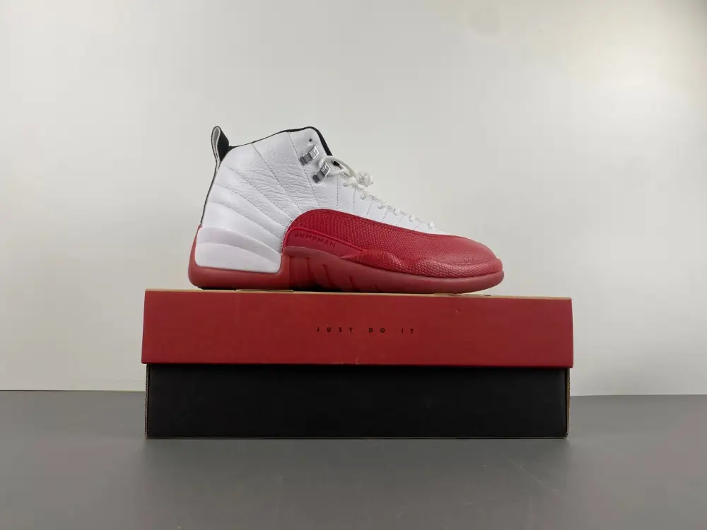 Air Jordan 12 