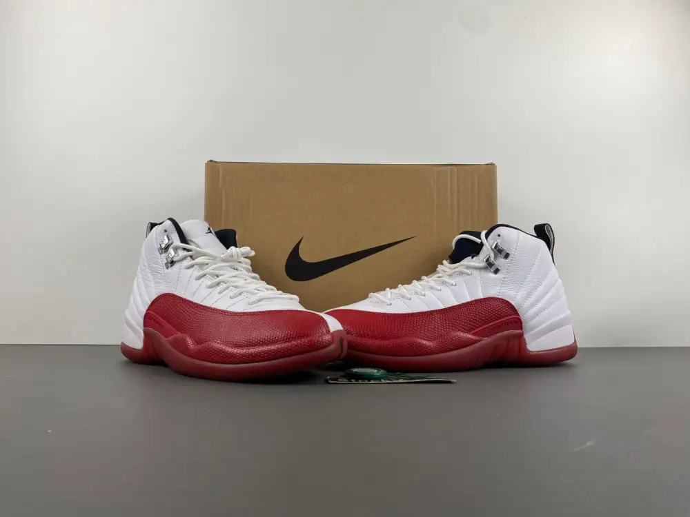Air Jordan 12  ACD1249