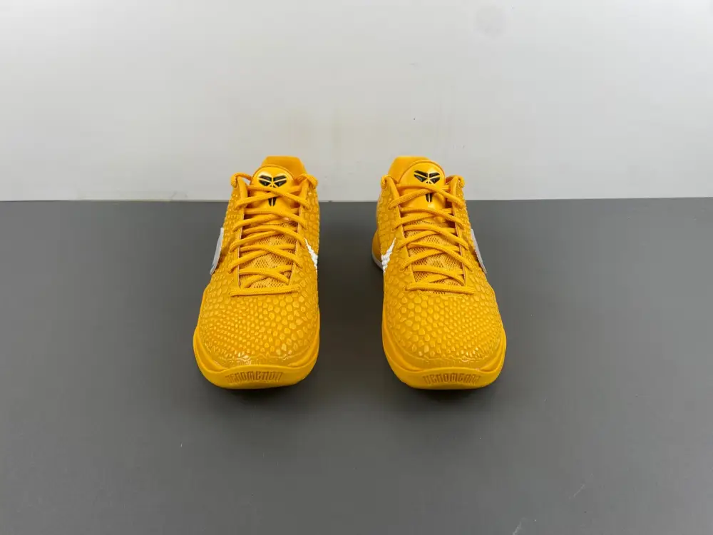 Nike Kobe 6 Protro Chaos 