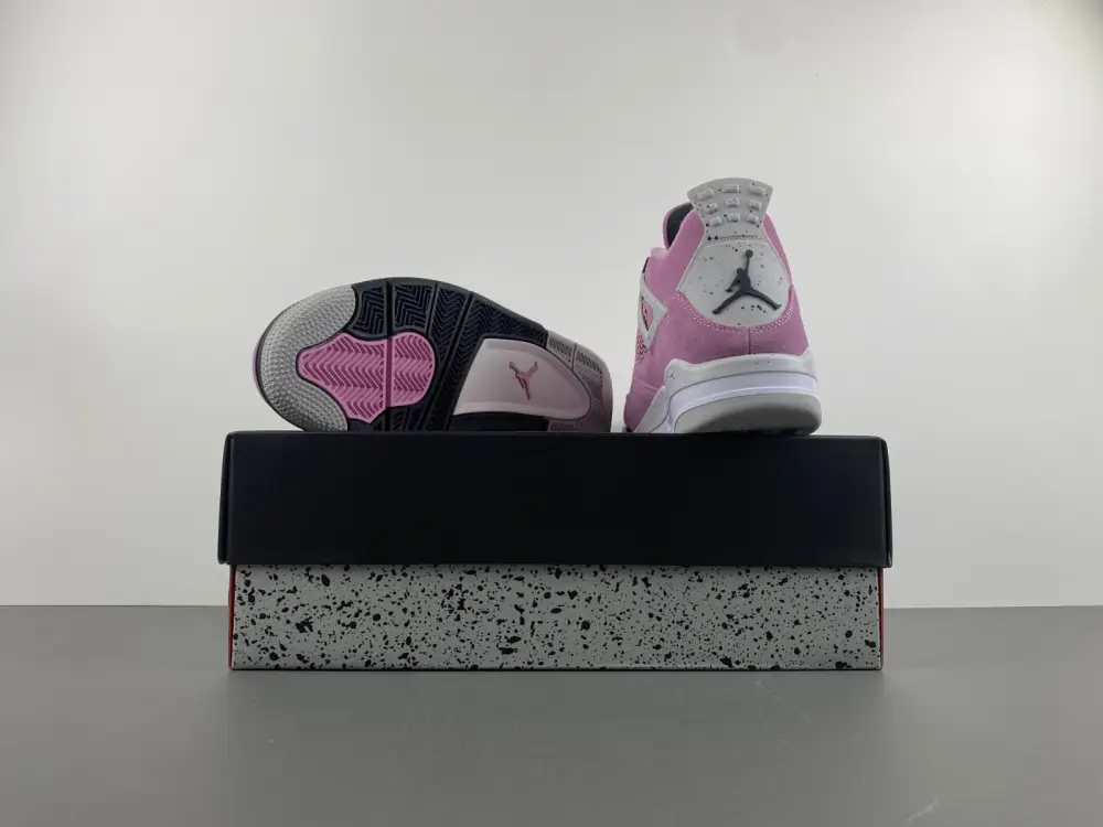 Air Jordan 4 WMNS 