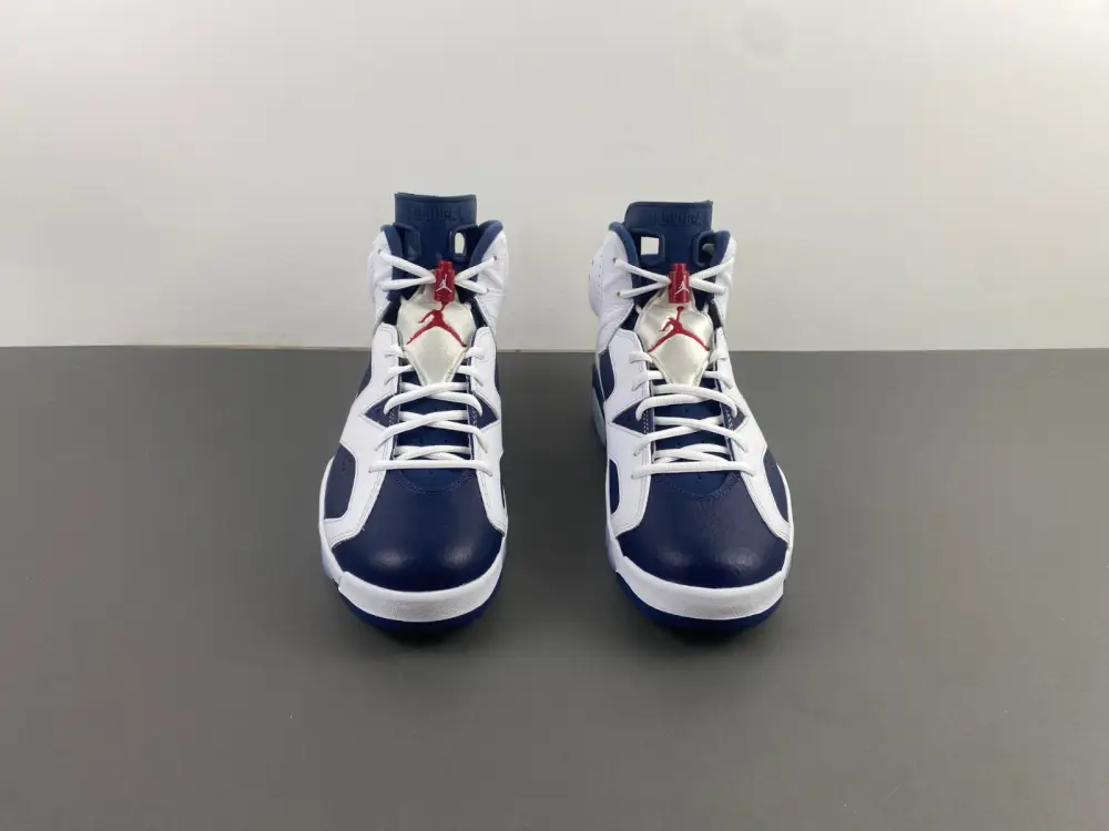Air Jordan 6 