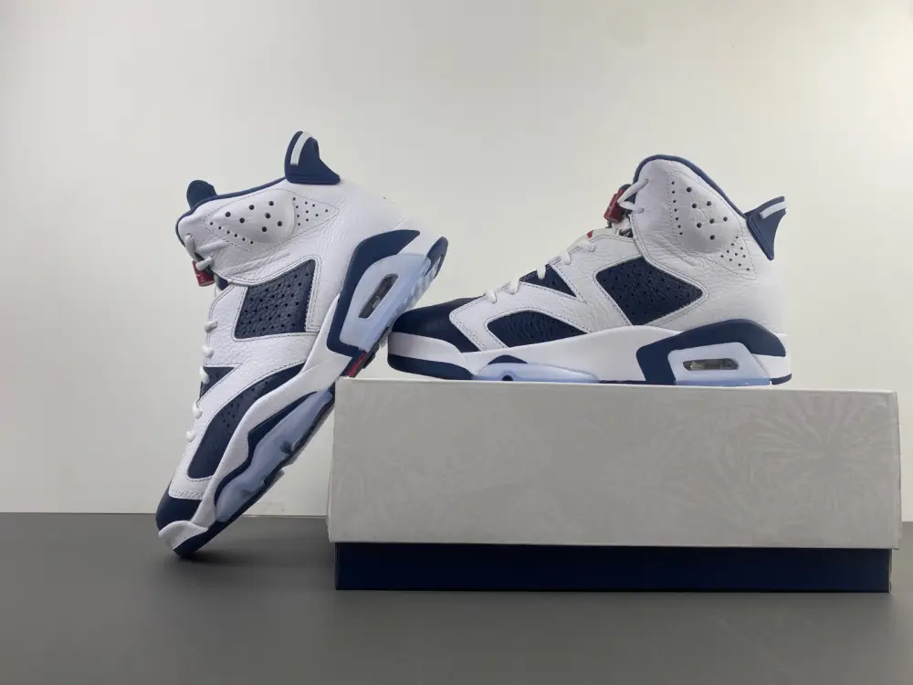 Air Jordan 6 