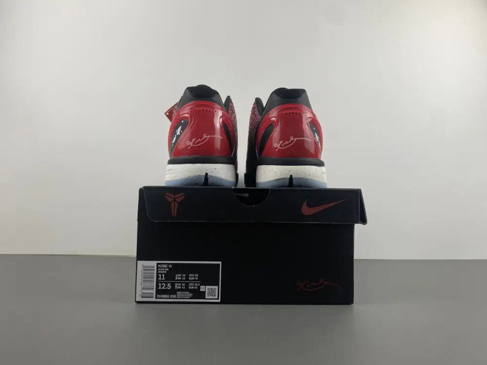 Nike Kobe 6 Protro 