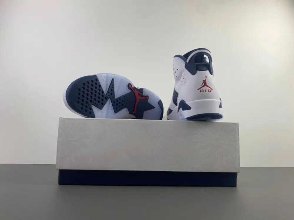 Air Jordan 6 
