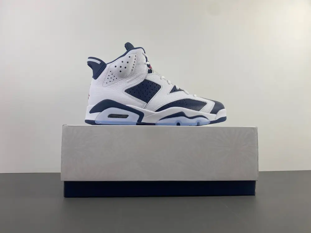 Air Jordan 6 